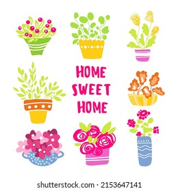 Flower pot set. A cute flowers in vases. Domestic plant