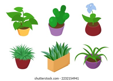 Flower pot set, green plant isometric collection, vector illustration. Nature decoration, houseplant, isolated on white design.
