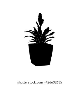 flower in a pot silhouette