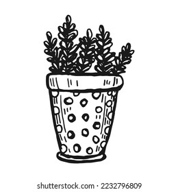 Flor en una olla. Simple ilustración Doodle. Elemento aislado para su diseño.