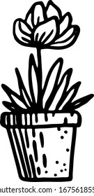 Blume in einem Topf. Eine Kontur-Blume einzeln auf weißem Hintergrund. Handgezeichneter Doodle-Stil. Frühlingsschwarzes Rahmenelement für Blumendesign, Einladung, Grußkarten, Wickelpapier.