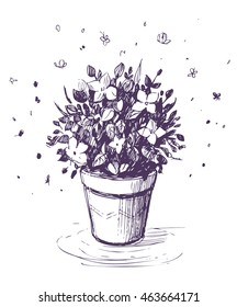 Flower in pot sketch. Vector illustration