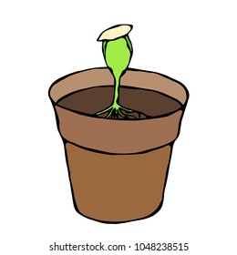 Flower Pot with Soil. Seed, Sprout and Root. Flowerpot for Sprouting Plant. Seedling. Phases of Growth of a Plant. Gardening Hobby Hand Drawn Illustration. Savoyar Doodle Style.