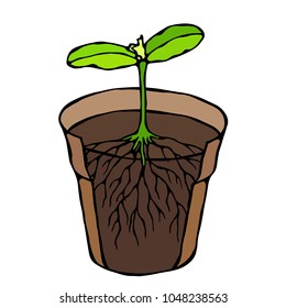 Flower Pot with Soil. Seed, Sprout with two leaves and Root. Flowerpot for Sprouting Plant. Seedling. Phases of Growth of a Plant. Gardening Hobby Hand Drawn Illustration. Savoyar Doodle Style.