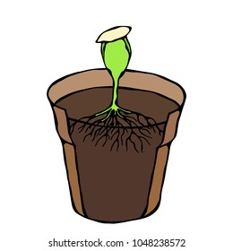 Flower Pot with Soil. Seed, Sprout and Root. Flowerpot for Sprouting Plant. Seedling. Phases of Growth of a Plant. Gardening Hobby Hand Drawn Illustration. Savoyar Doodle Style.