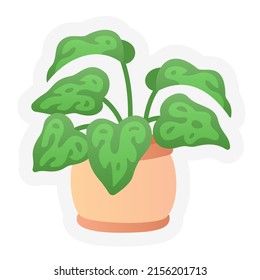 flower pot spring or springtime single isolated icon with sticker outline cut style