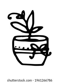 A flower pot with a twig with sharp leaves and a curl at the end. hand drawn homemade climbing plant in a container with a pattern of dots and a bow hand drawn in the doodle style with a black line 