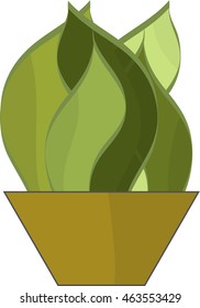 flower in a pot in vector