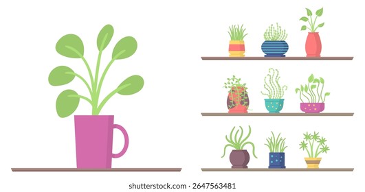Flor no vaso. Projeto vetorial com a mão transportando planta em crescimento. Folha verde e broto de desenho animado para a botânica e tema do dia da terra. Símbolo da natureza para a ecologia, conservação e cuidado ambiental.

