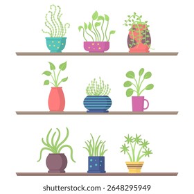 Flor no vaso. Projeto vetorial com a mão transportando planta em crescimento. Folha verde e broto de desenho animado para a botânica e tema do dia da terra. Símbolo da natureza para a ecologia, conservação e cuidado ambiental.

