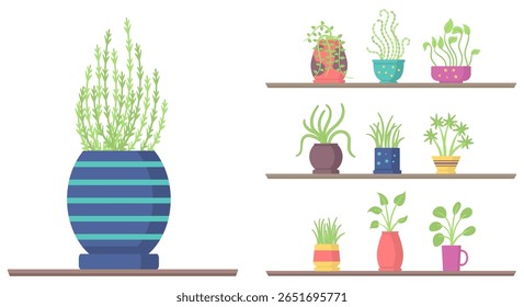 Flor no vaso. Projeto vetorial com a mão transportando planta em crescimento. Folha verde e broto de desenho animado para a botânica e tema do dia da terra. Símbolo da natureza para a ecologia, conservação e cuidado ambiental.

