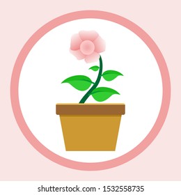 flower in pot vector design illustration 