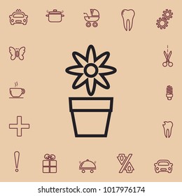 flower in a pot, vector design outline element