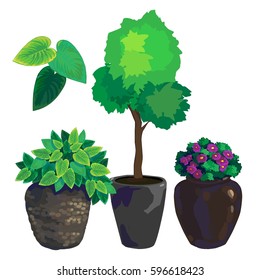 Flower in a pot vector drawing leaves