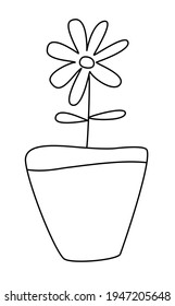 Flor en una olla. Ilustración dibujada a mano por vectores al estilo de doodle