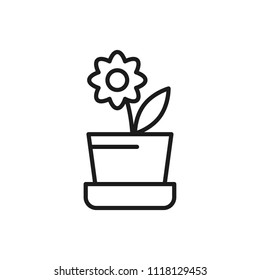 flower in pot vector icon
