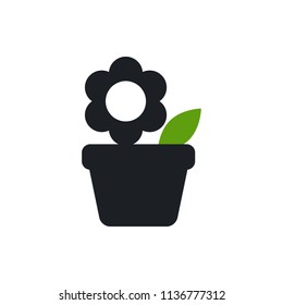 flower in pot vector icon