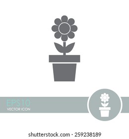 Flower in pot vector icon.
