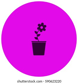 Flower pot vector  icon