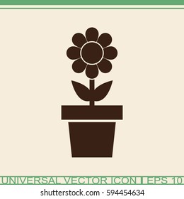 Flower in pot vector icon.