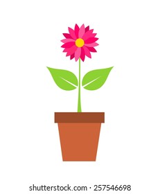 Flower in pot. Vector illustration