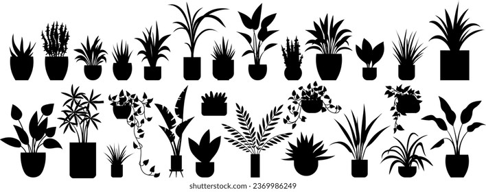 Flower pot. Vector illustration. Botanical gardens are treasure trove diverse plant species Botanic studies delve into fascinating world plants and their characteristics The field botany explores