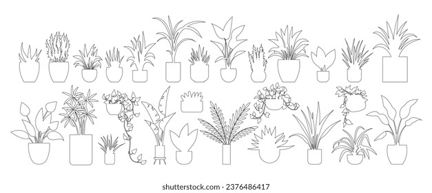 Flower pot. Vector illustration. Gardening allows us to connect with nature and cultivate plants The foliage plant adds refreshing green element to room The decoration flower pot complements overall