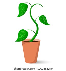 Flower in a pot. Vector illustration on white background