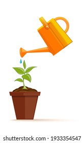 A flower in a pot is watered from a plastic watering can. Green houseplant in a pot. Young plant with watering can and water drops. Vector illustration isolated on white