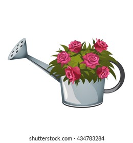 Flower pot in a watering can with roses. Vector.