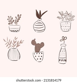 flower pots with flowers for interior, girls and decor