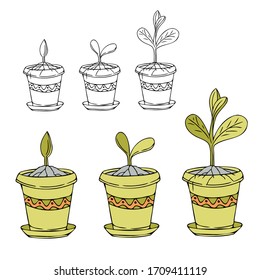 Flower pots in hand drawn outline style and in doddle color style. Thin line flower seeds icon isolated on white background. Vector illustration