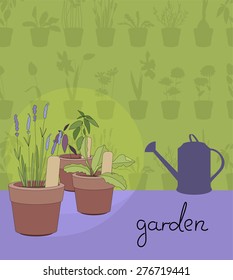 Flower pots with herbs and vegetables.