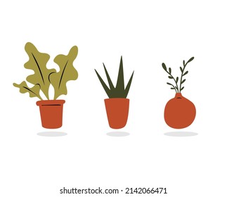 Flower in the pots illustration using hand-drawn style. There are 3 kind of plants