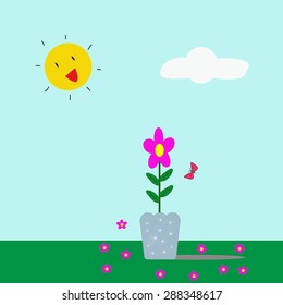 flower in pots  on a clear day