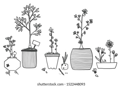Flower in pots set of different hand drawn concept, flower for your design and sketch style vector illustration.