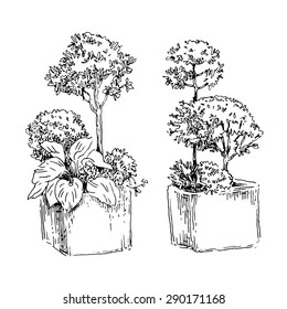 Flower pots sketch. Vector line artwork. Garden design.
Usage for ecology, nature, garden, plants themes. Watercolor background. Isolated on white.