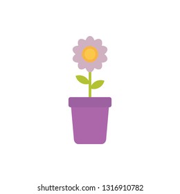 Flower in pots vector illustration isolated on white background 