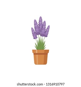 Flower in pots vector illustration isolated on white background 