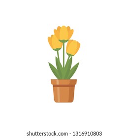 Flower in pots vector illustration isolated on white background 