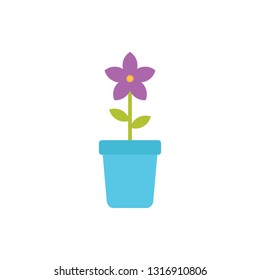 Flower in pots vector illustration isolated on white background 
