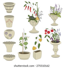 Flower pots with vegetables - herbs,tomatoes,pepper,cucumber isolated on white