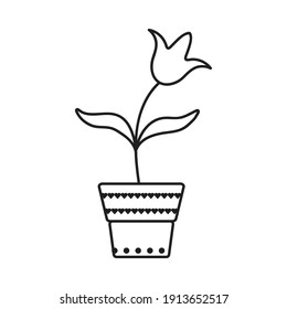 Flower in a pot.Vector hand drawn illustration. For greeting card, sticker, holiday design, poster, flyer.