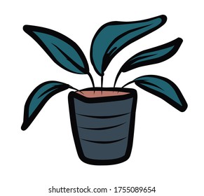 Flower in a pot.Vector picture drawn by hand from a set about home life and comfort. There are many household items and furniture. Doodle style. Set of isolated drawings.