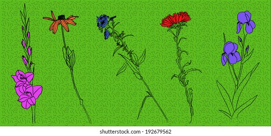 flower, prickly, red, green, leaf, stem, vector, graphic, drawing, illustration