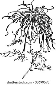 flower print