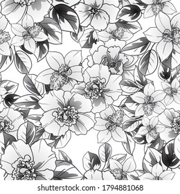 Flower print. Elegance seamless pattern.