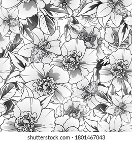 Flower print. Elegance seamless pattern.