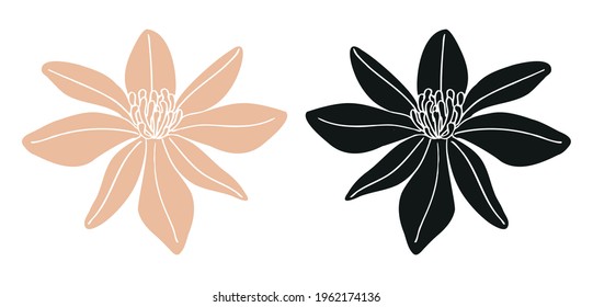 Flower print six petals and stamens logo icon