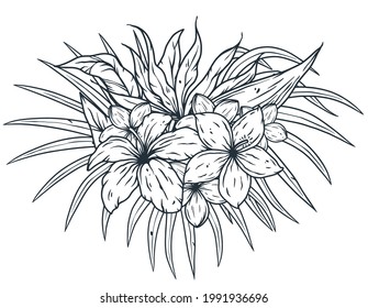 Flower print. Summer tropical hawaii Exotic plant for t-shirt design. Palm or floral tropic